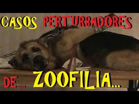 es.luxuretv|Vídeo porno Zoofilia .